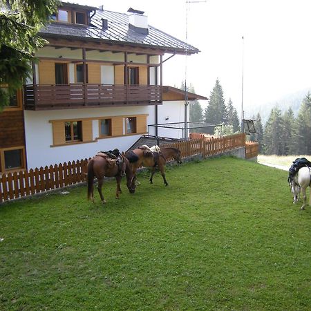 Hotel Piccolo Pocol Cortina d'Ampezzo Buitenkant foto