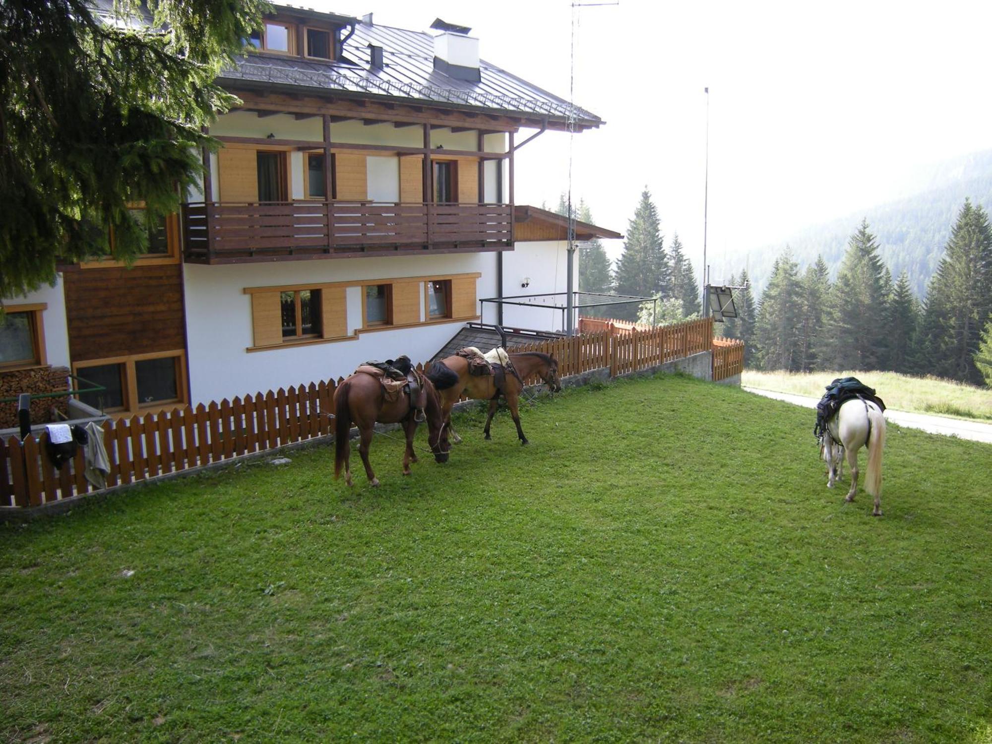 Hotel Piccolo Pocol Cortina d'Ampezzo Buitenkant foto